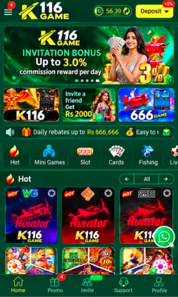 K116 Game