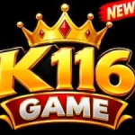 K116 Game